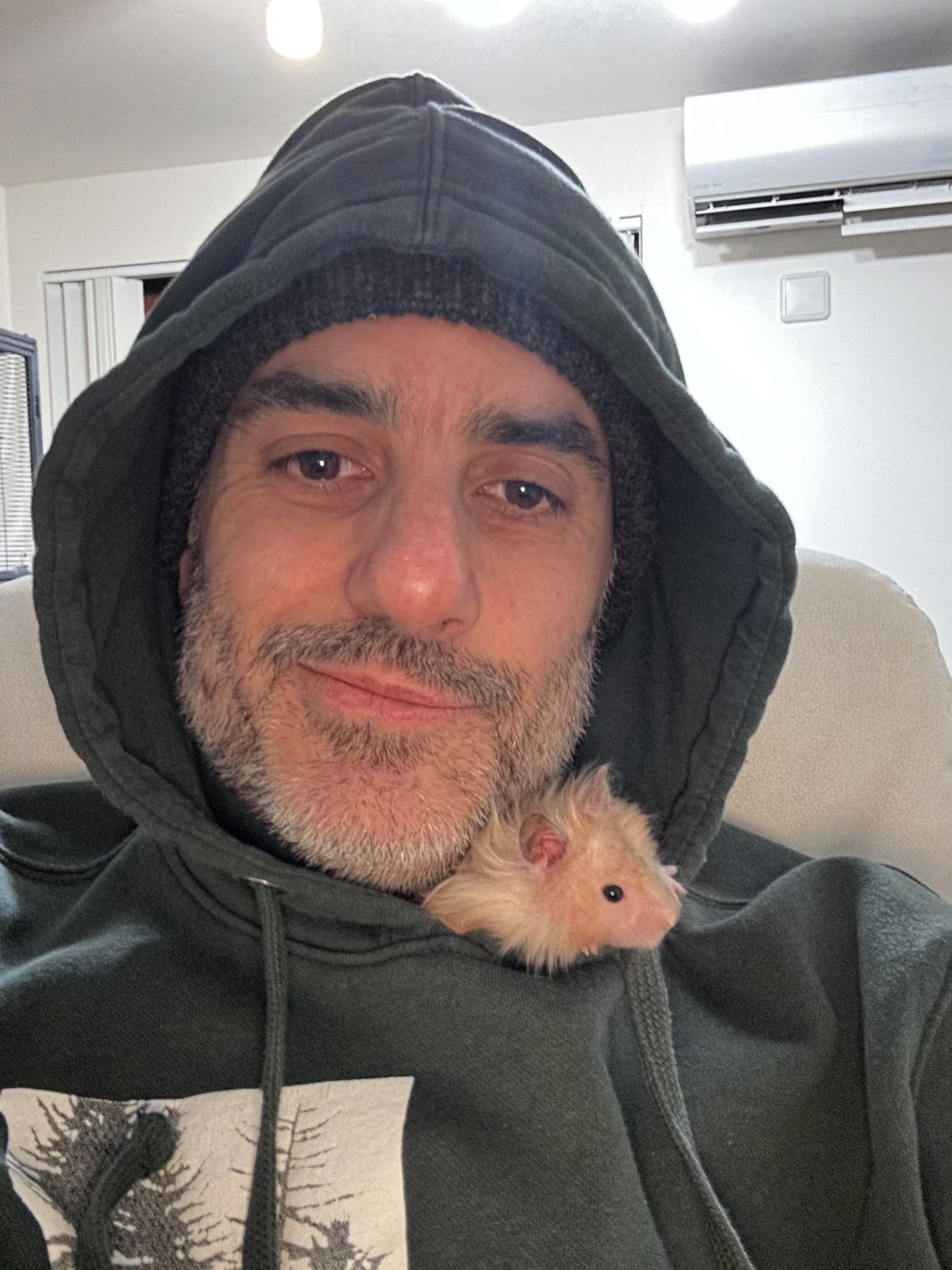 Photo of Pâté the hamster