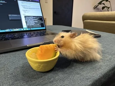 Photo of Pâté the hamster